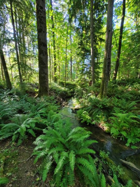 Pacific Northwest Hiking
