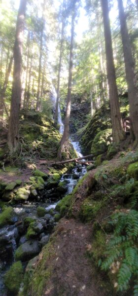 Pacific Northwest Hiking